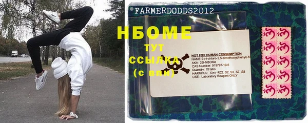 индика Алексеевка