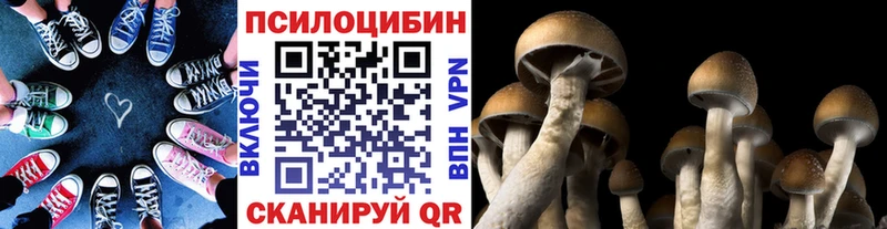 Галлюциногенные грибы мицелий  ссылка на мегу ONION  Новая Усмань 